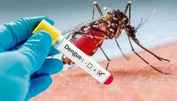 ডেঙ্গুতে এক দিনে ৪ মৃত্যু