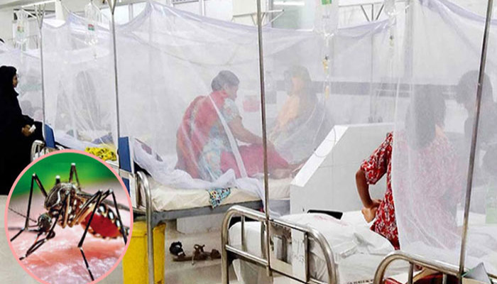 ডেঙ্গুতে মৃত্যু বেড়ে ৯২, হাসপাতালে নতুন ১১৮ রোগী