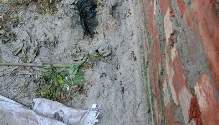 বালির নিচ থেকে মানসিক প্রতিবন্ধীর লাশ উদ্ধার