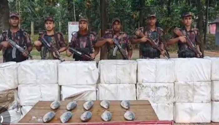 ভারত পাচারের সময় সীমান্তে ৮৮৫ কেজি ইলিশ জব্দ