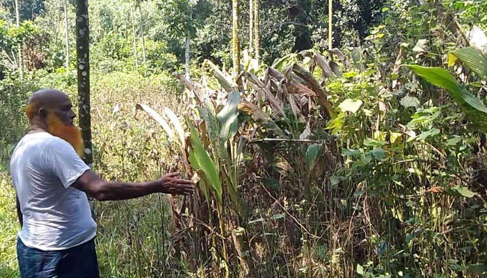 ঝিনাইগাতীতে বীর মুক্তিযোদ্ধার জমি বেদখলের পাঁয়তারা