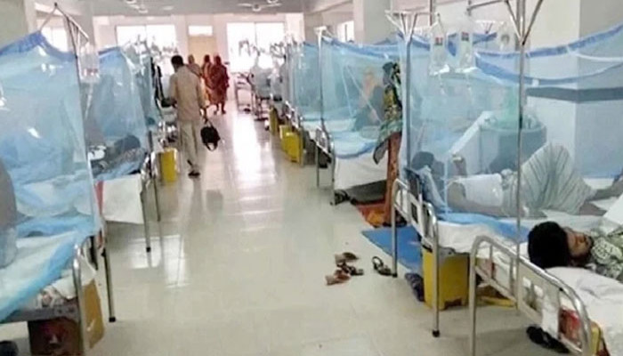 ডেঙ্গুতে আরও ২ জনের মৃত্যু, হাসপাতালে ভর্তি ৮৬৬ জন