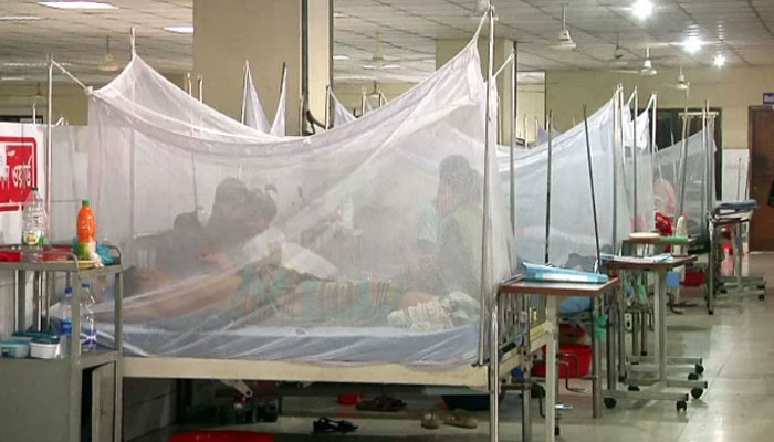 এক দিনে ডেঙ্গুতে আরও ৩ মৃত্যু, শনাক্ত ৮০১