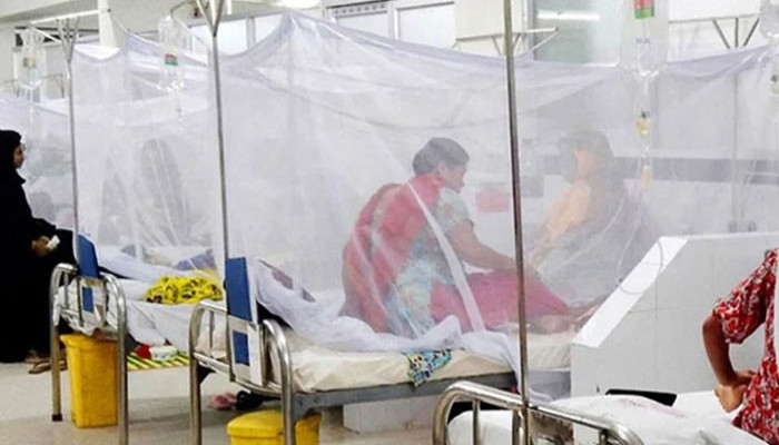 ডেঙ্গুতে আরও ৩ মৃত্যু, হাসপাতালে ভর্তি ৮২৯ জন