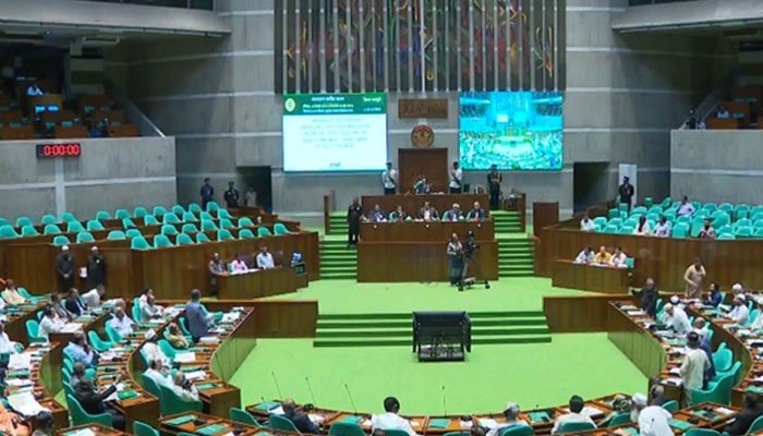 সীমান্ত হত্যা ও পুশইন নিয়ে সংসদে আলোচনা স্থগিত, এমপির ক্ষোভ
