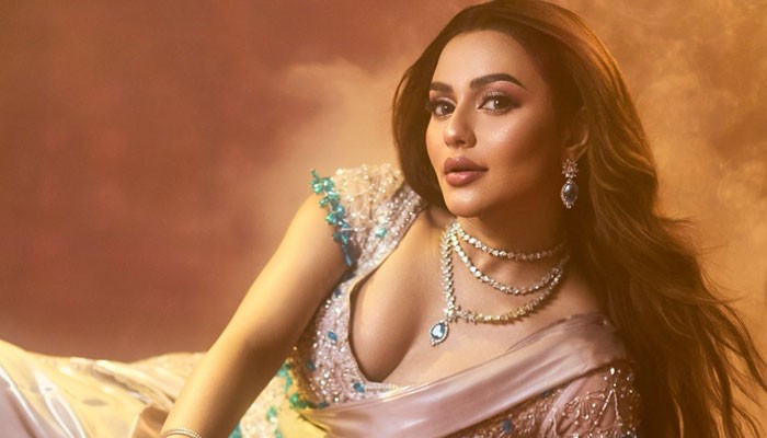 তারকাদের আদালতে টেনে নেওয়ার ঘটনায় নুসরাত ফারিয়ার ক্ষোভ