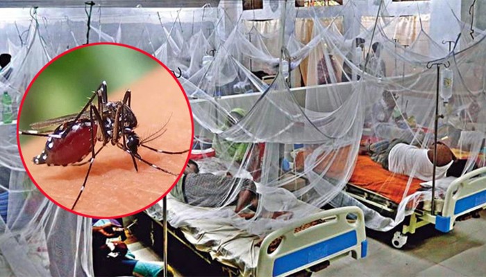 ডেঙ্গুতে আরও ৭ জনের মৃত্যু, হাসপাতালে বছরের সর্বোচ্চ রোগী ভর্তি